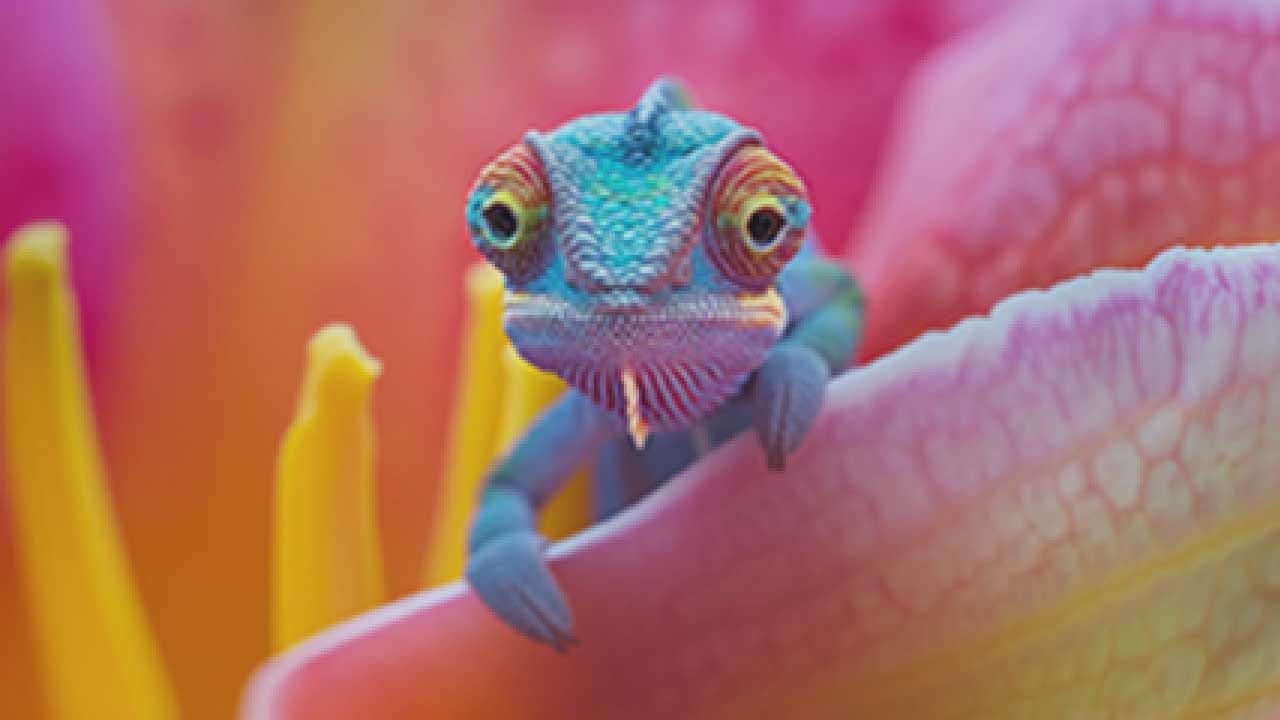https://images.unsplash.com/photo-1434389677669-e08b4cac3105?q=80&w=2010&auto=format&fit=crop&ixlib=rb-4.1.0&ixid=M3wxMjA3fDB8MHxwaG90by1wYWdlfHx8fGVufDB8fHx8fA%3D%3D